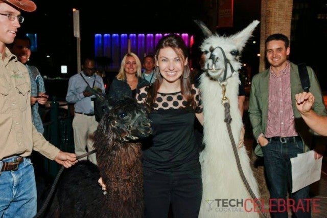 llamasjen