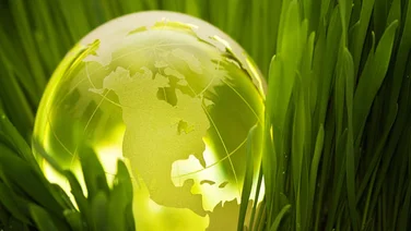 sustainable corporations