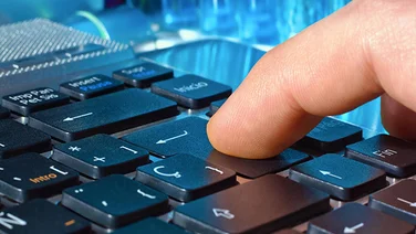 IT professionals