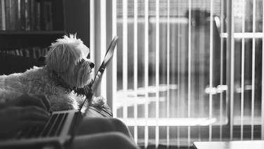 How Virtual Assistants Can Scale Your Business