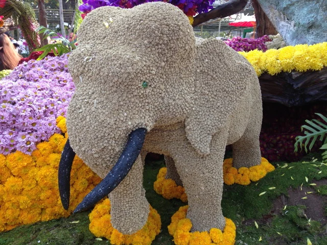 Chiang Mai Flower Festival