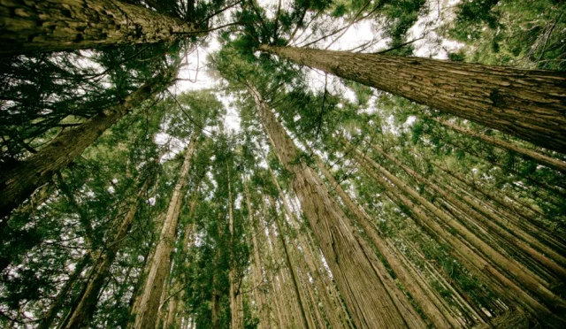 earth day