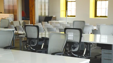 startup employees