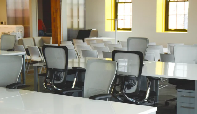startup employees
