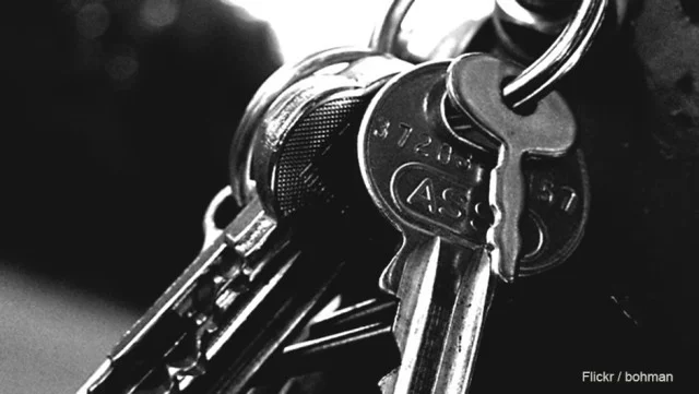 Automation, Efficiency, Scalability: The Keys to Startup Success