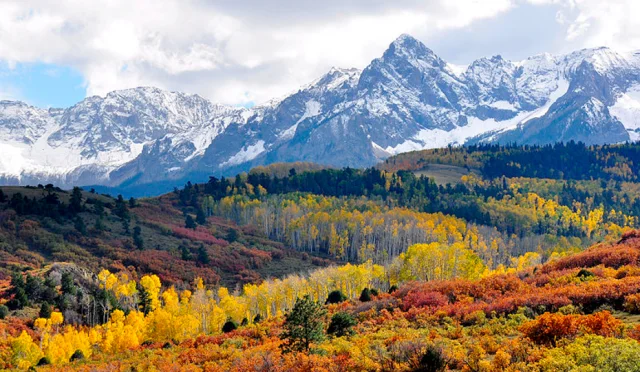 Top states with remote workers