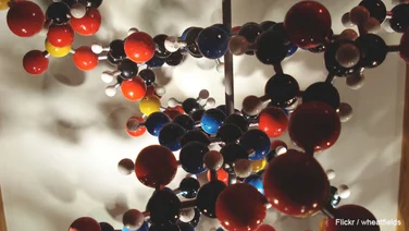 Y Combinator Alum Atomwise Raises $6M for AI in Drug Creation