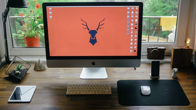 How to Create the Right Office Space at Home [INFOGRAPHIC]