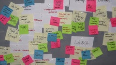 project management