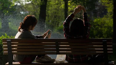 social networks