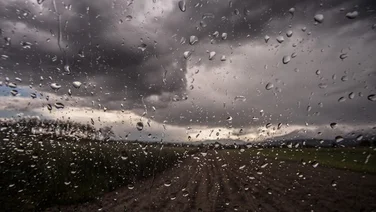 Weatherback