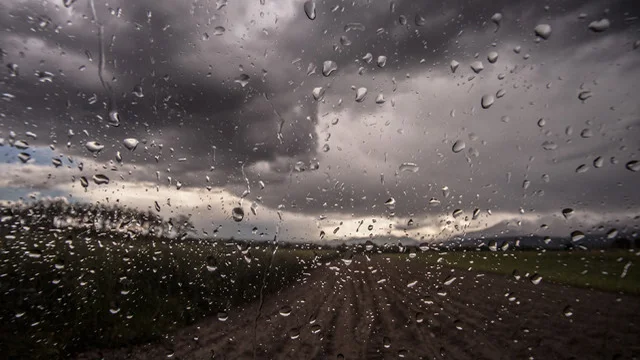 Weatherback