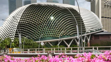 biomimicry