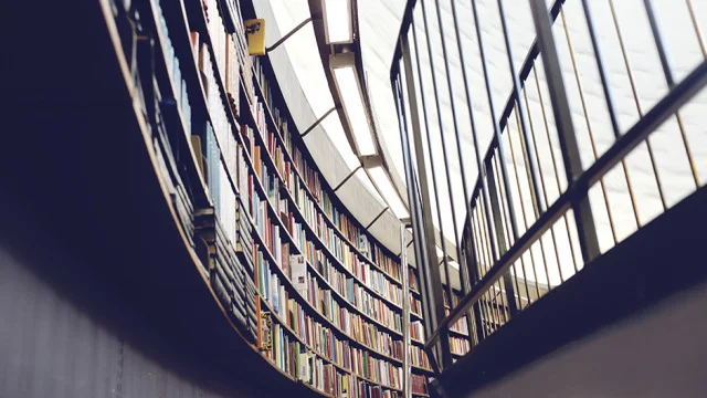 self education