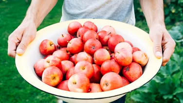foodtech startups