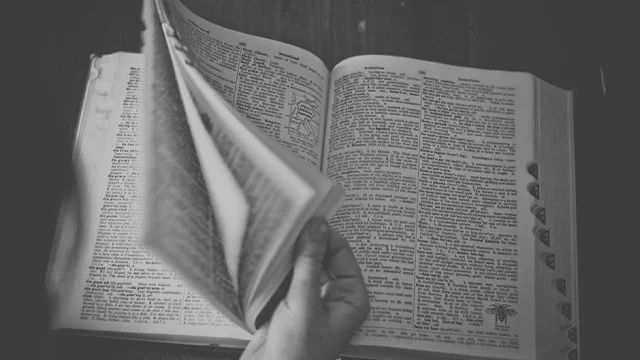 Here's That Urban Dictionary for Silicon Valley That You've Always Wanted