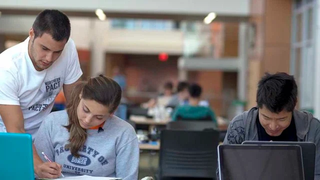 college students freelancing