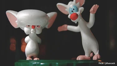 Deadlines Ruin Creativity, According to Neuroscience