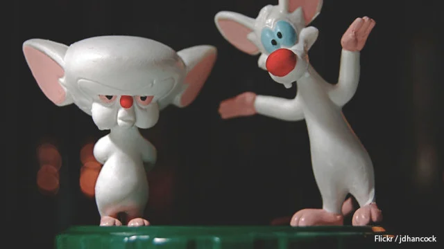 Deadlines Ruin Creativity, According to Neuroscience