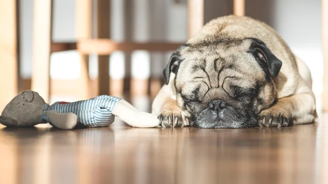 The Sleeping Habits of 21 Entrepreneurs [INFOGRAPHIC]