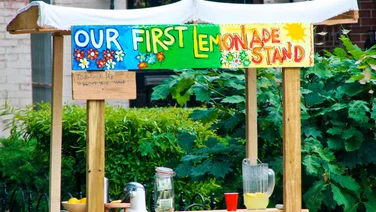 start a company