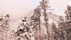 New iPhone App Warns People of Avalanche Danger