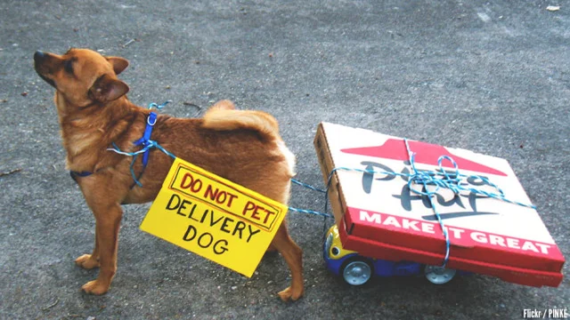 How Same-Day Delivery Went from Fantasy to Reality
