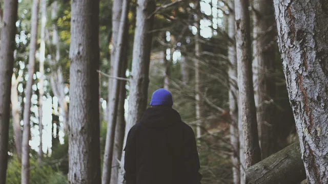 Privacy App Wiper Releases Wiper Film