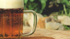 Tampa Breweries: Entrepreneurship and Craft Beer at Tampa Bay Startup Week