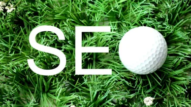 SEO Overrated Compared to Local Influencers