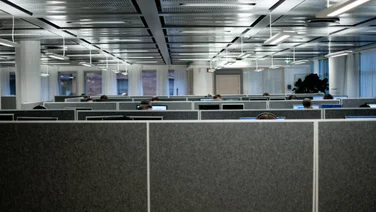Shifting Roles: The Rise of the Hybrid Job