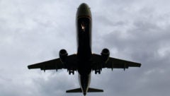 Travel Loyalty Programs
