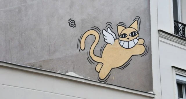 Copyright sign cat graffiti