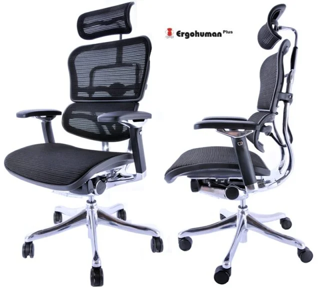 Ergohuman Plus