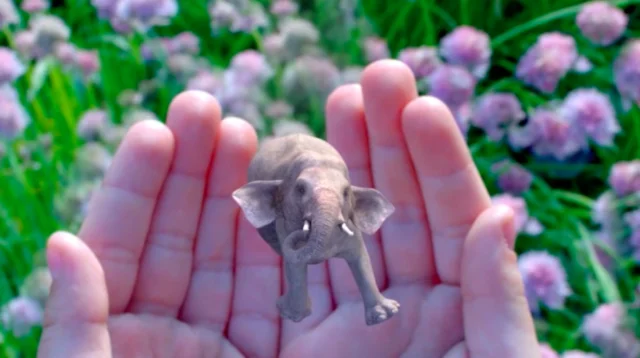 Augmented Reality