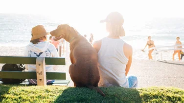 10 Startups to Watch in the Sharing Economy