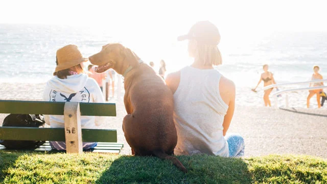 10 Startups to Watch in the Sharing Economy