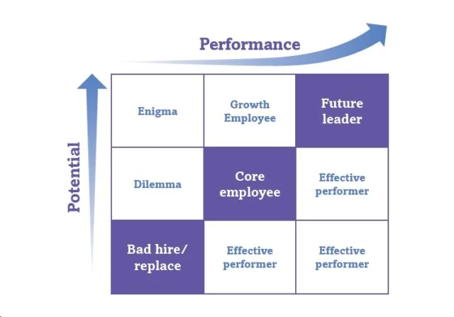 9 Box Grid Measuring Employee's leadership Potential
