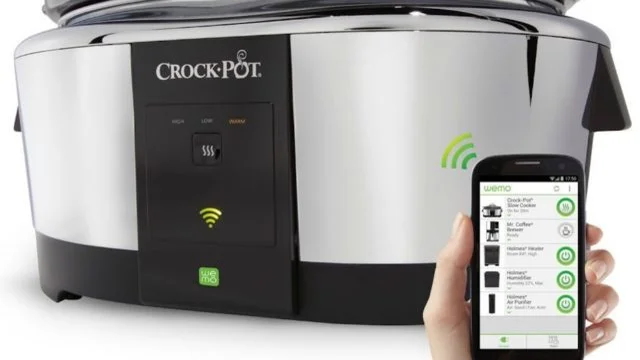 Crockpot-Wemo snowy