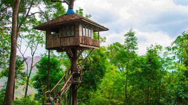 treehouse