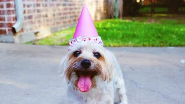 birthday