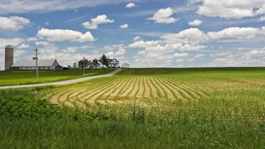 agtech farmers drones raptor maps