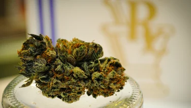 medical marijuana