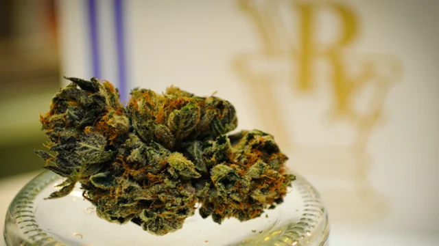 medical marijuana