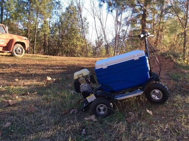 crazy cooler