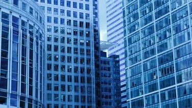 corporation, startup, pilot