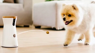 Furbo Tech Gadgets for Your Pet