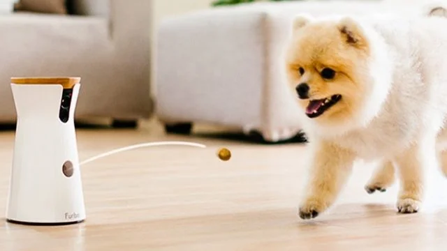 Furbo Tech Gadgets for Your Pet