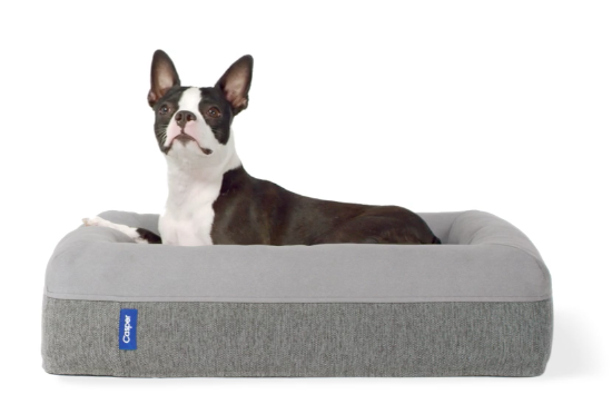 Casper Dog Mattress