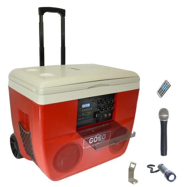 The Karaoke Cooler